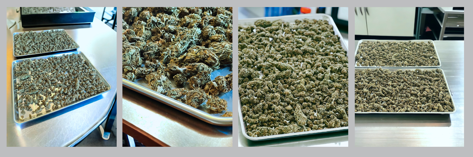 Untitled design (1)-2